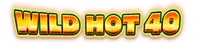 Wild Hot 40 logo